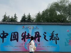 -曹州牡丹园