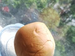 -白玉兰食品(甜云店)