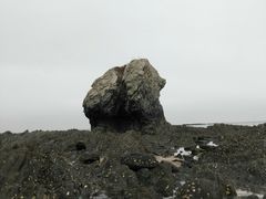 景点-大连金石滩滨海国家地质公园
