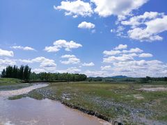 -乌兰布统草原