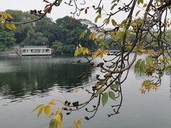 -东山湖公园