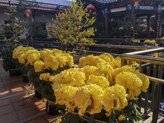 -小榄公饭店·岭南庭院餐厅(民安北路店)