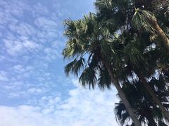 -桂林市榕杉湖景区