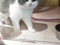 -FAELING PETS美天灵宠物(富力广场店)