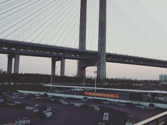 -锐擎卡丁车主题乐园(郊野公园店)