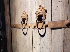 -雀舞云南菜(天津天河城购物中心店)