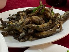 椒盐多春鱼-蛇口康乐快餐鱼仔档(翠苑小区店)