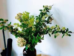 -三花屋 Mihhanaya