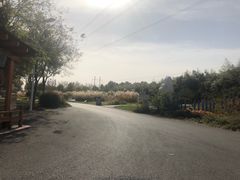 -石家庄市植物园