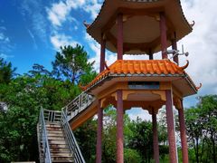 景点-广州白江湖森林公园