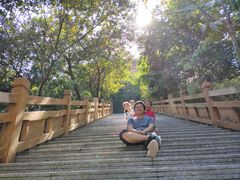 -大屏嶂森林公园
