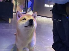 -瞳·实景密室逃脱(护国店)