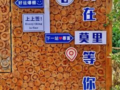 -莫里热带雨林景区