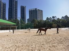 -名驭国际马术学院