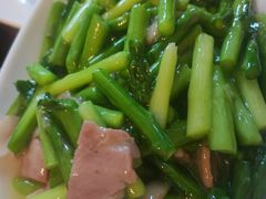 -望京一号(请您到博雅店用餐·博雅店)