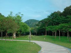 -中山市树木园