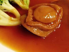 原只干鲍扣海参-阿一鲍鱼·20年匠心传承(天河北旗舰店)