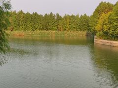 -苏州太湖国家湿地公园