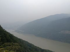 -铁山坪森林公园