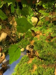 -酷嗒动物文化乐园(cutezoo西溪乐天城店)