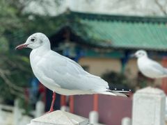 -熙楼(翠湖店)