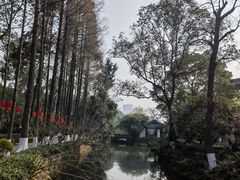 -桂湖森林公园
