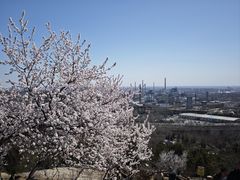 -白水寺森林公园
