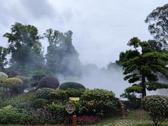 -东莞植物园