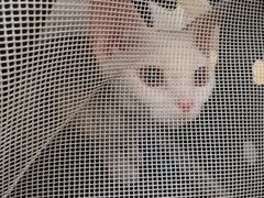 -美联众合动物医院·24h转诊中心