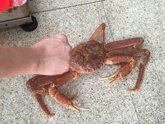-蚝专家(北滘店)