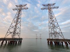 -宝安西湾红树林湿地公园