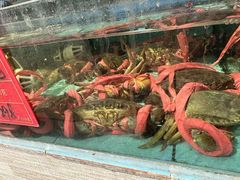 -景好海鲜餐厅(大鹏必选旅游店)