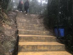 -梦幻奥陶纪景区