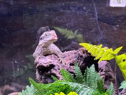 -Zoolung Zoolung动物主题公园(海信广场店)