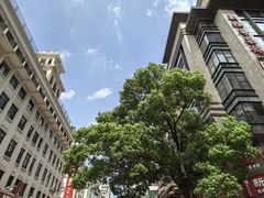 -南京路步行街