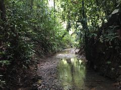 -乌鲁淡布隆国家公园
