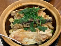 鱼头煲-富豪酒家(正大广场店)