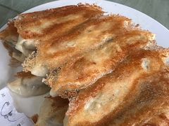 -青岛锅贴(四流中路店)