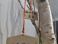 -成都失恋馆