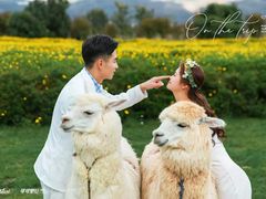 -爱我旅拍婚纱摄影(大理店)