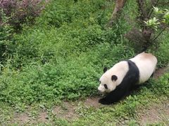 -黔灵山公园