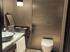 -新加坡瑞士史丹福酒店