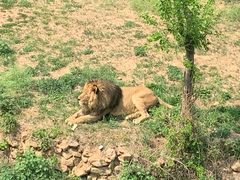 -青岛森林野生动物世界