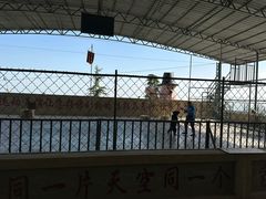 -东方熊牧场