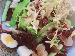 嫩烧金枪鱼沙拉-Hatsune隐泉日式料理(三里屯太古里店)