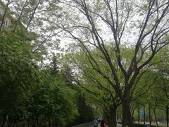 -元大都城垣遗址公园