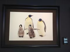 -罗红摄影艺术馆