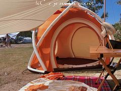 -春花秋色城市公园