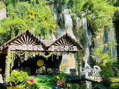 -西双版纳原始森林公园