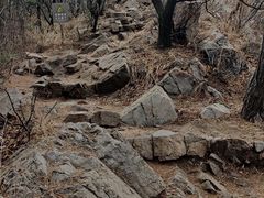 -沈阳辉山风景区